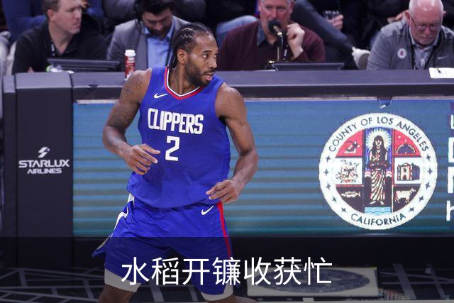 水稻开镰收获忙